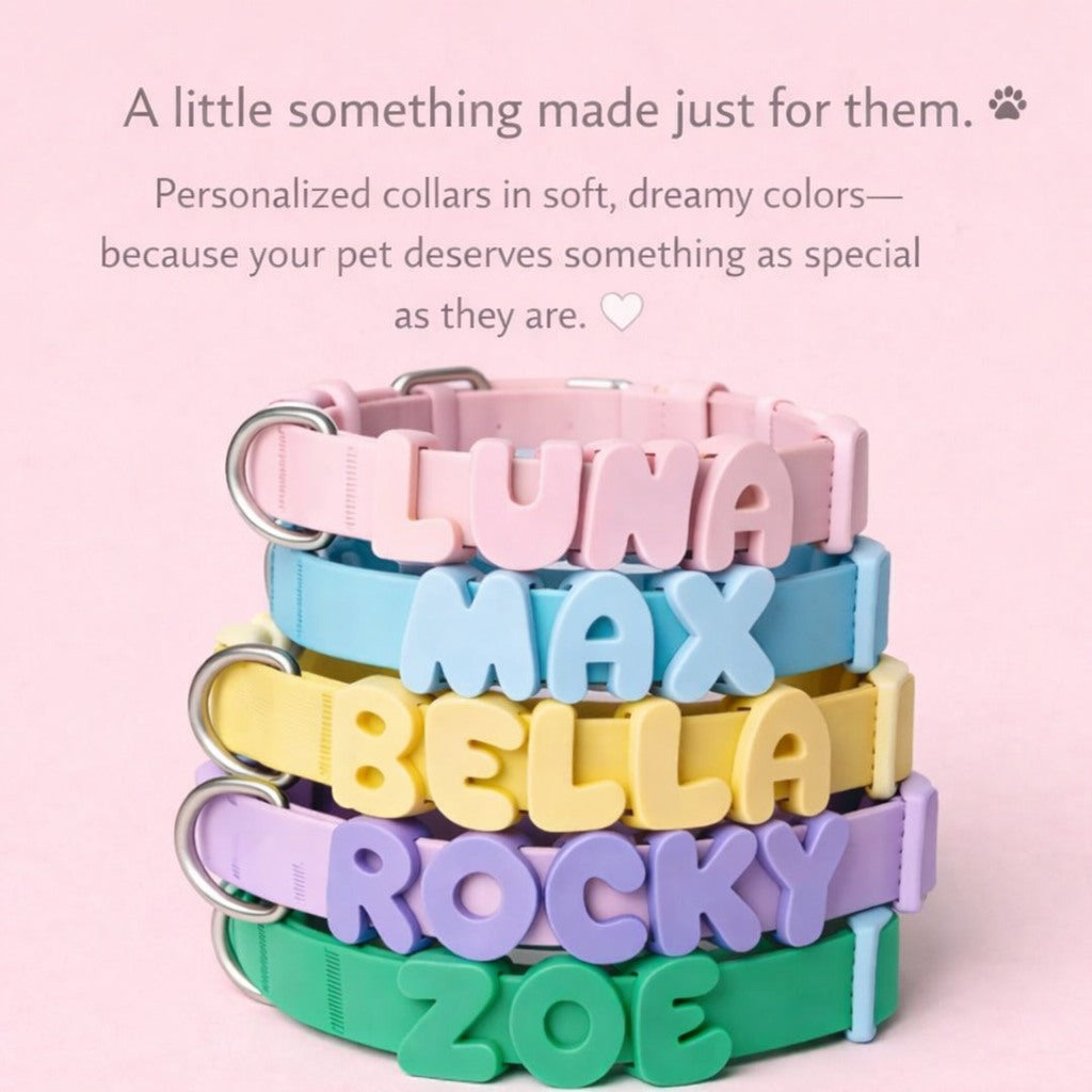 Alphabet dog collar