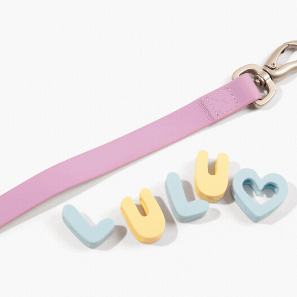 Alphabet dog collar