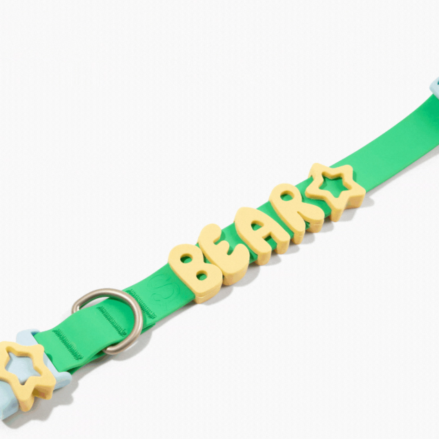 Alphabet dog collar