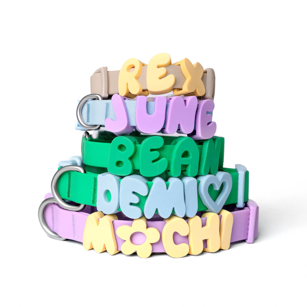 Alphabet dog collar