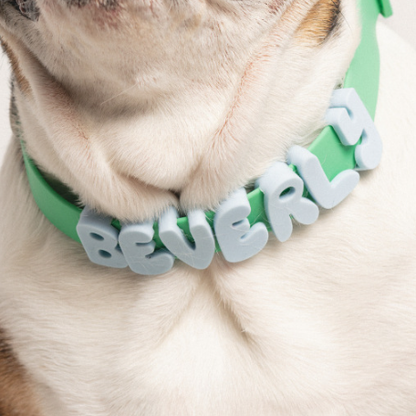 Alphabet dog collar