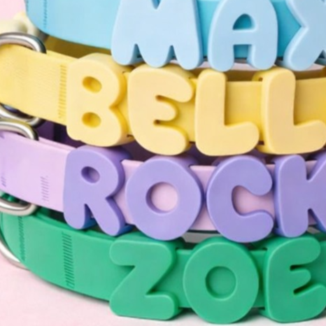 Alphabet dog collar