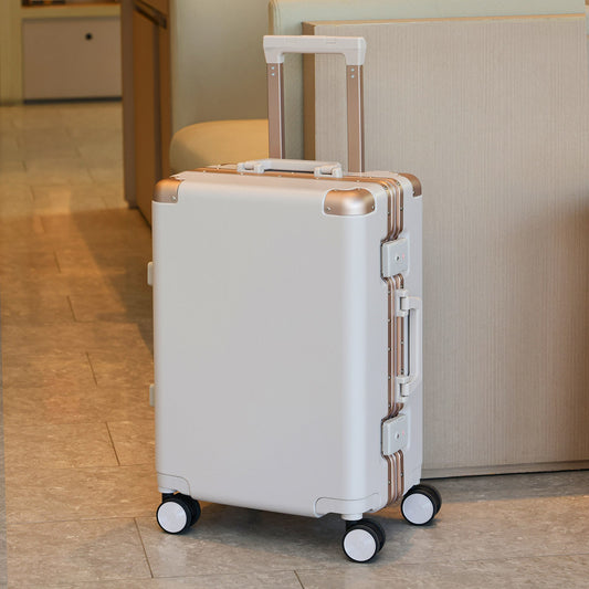 Aluminum Frame Spinner Luggage Case
