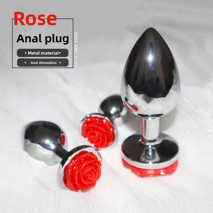 Anal Plug