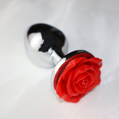 Anal Plug