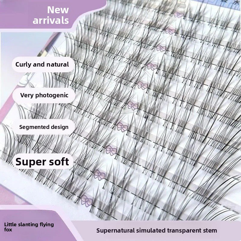 Angled False Eyelashes
