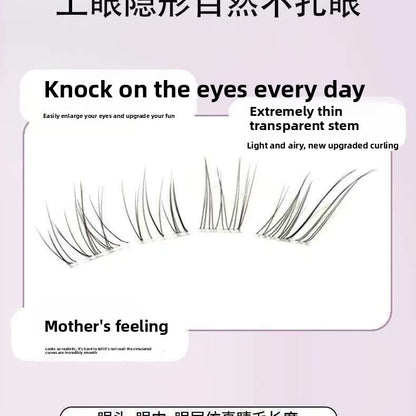 Angled False Eyelashes