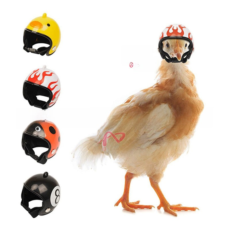 Animal Themed Anti Pecking Pet Helmet