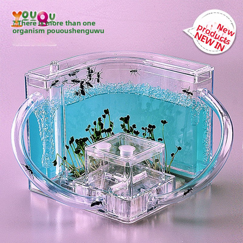 ant habitat toy