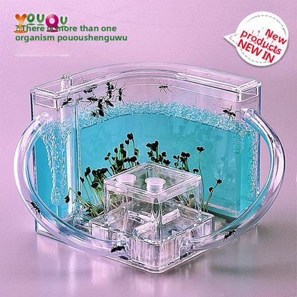 ant habitat toy