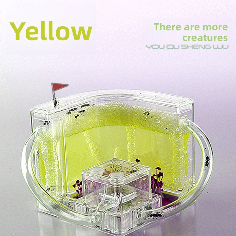 ant habitat toy