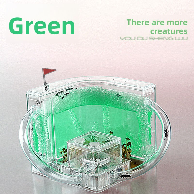 ant habitat toy