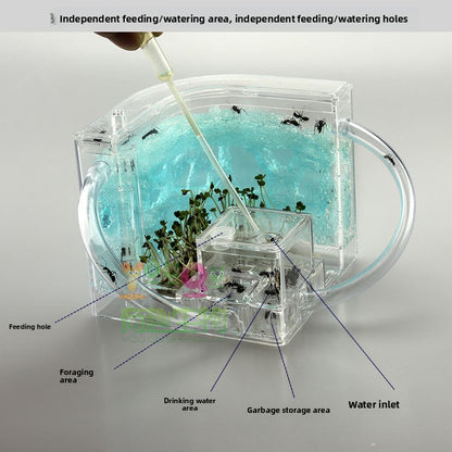 ant habitat toy