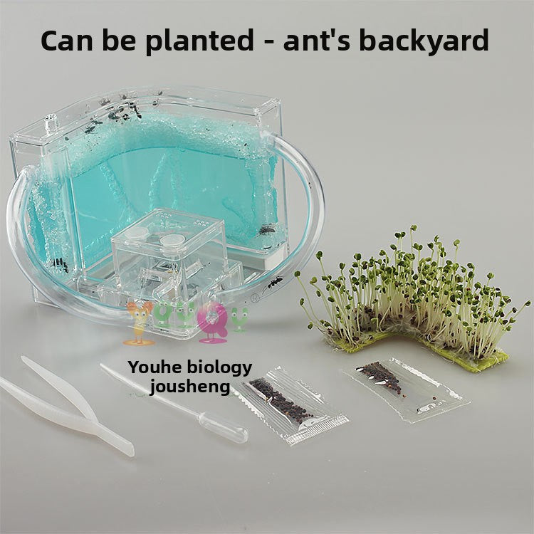 ant habitat toy