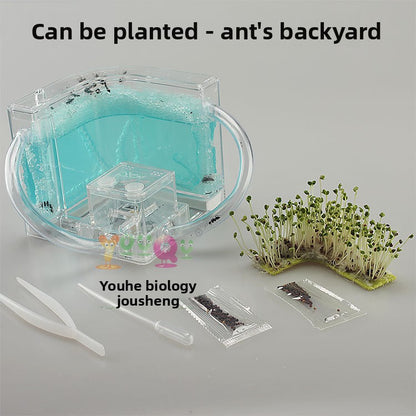 ant habitat toy