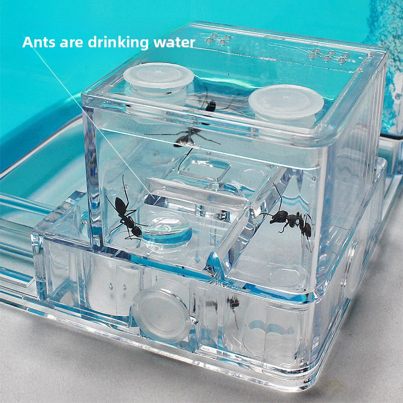 ant habitat toy