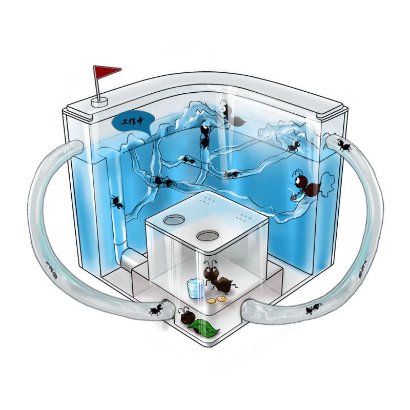 ant habitat toy