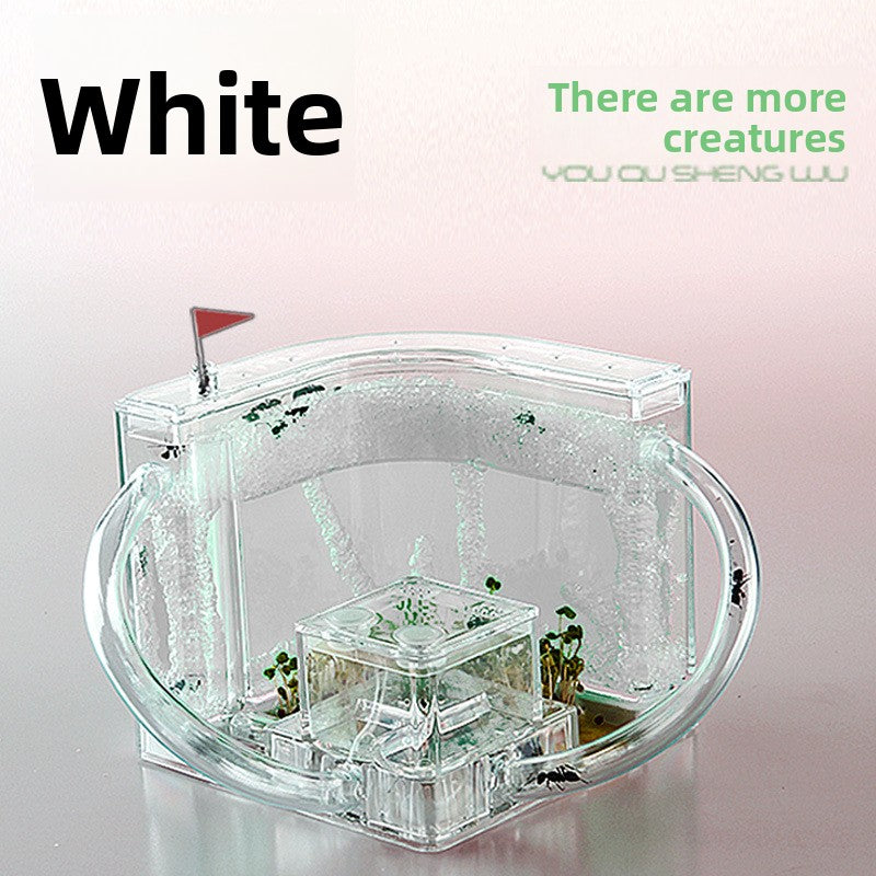 ant habitat toy