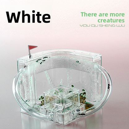 ant habitat toy
