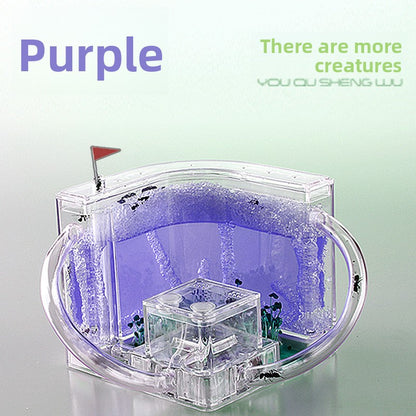 ant habitat toy
