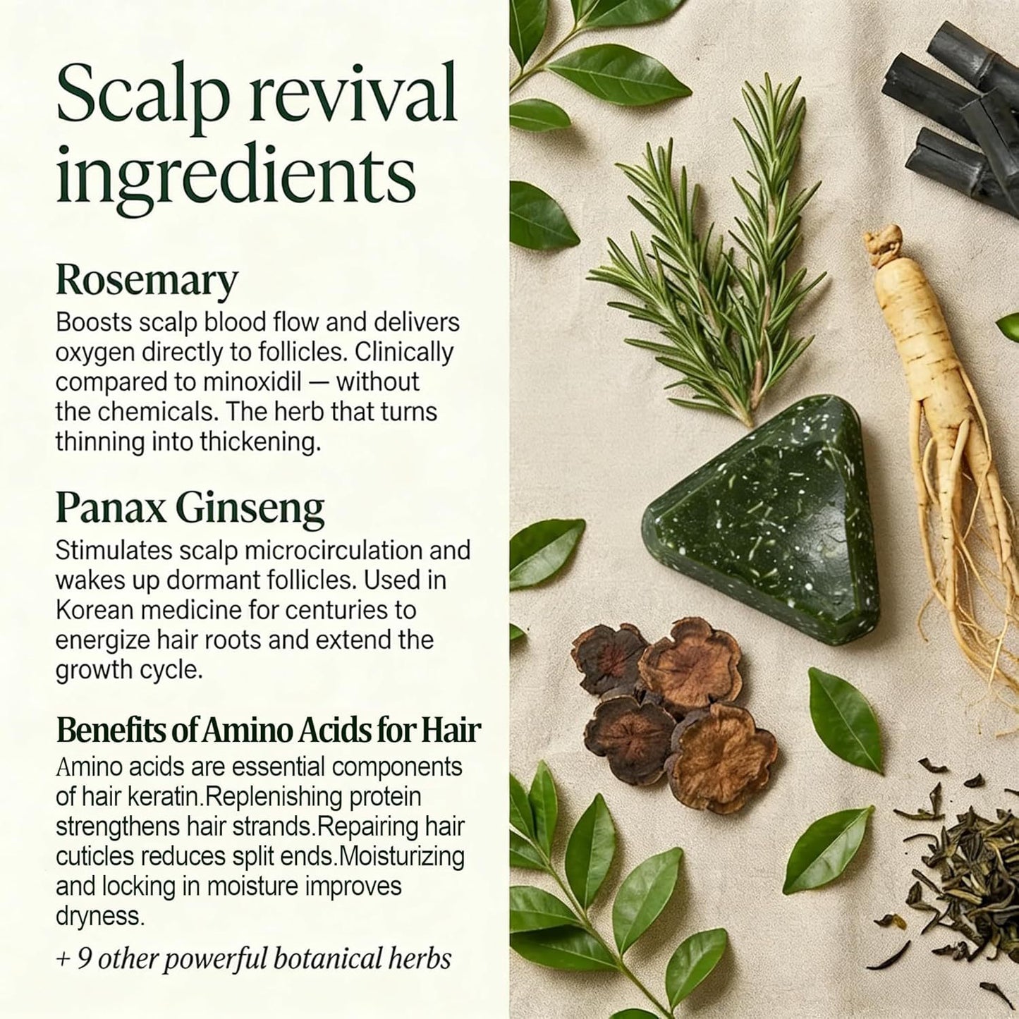 Anti-Hair Loss Shampoo Bar with Herbal Extracts