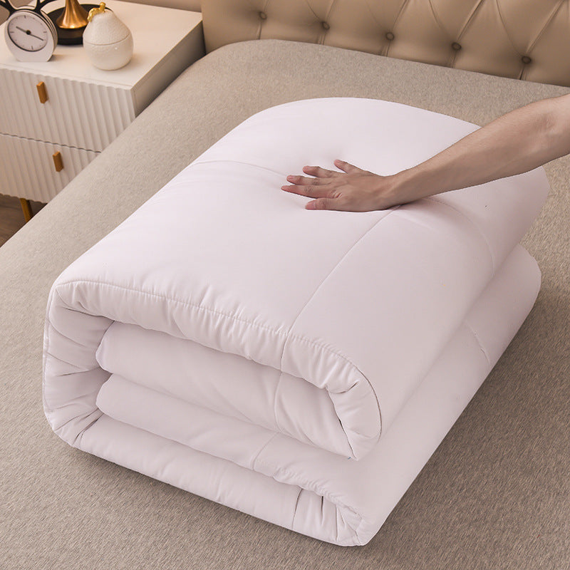 Antibacterial Duvet Insert
