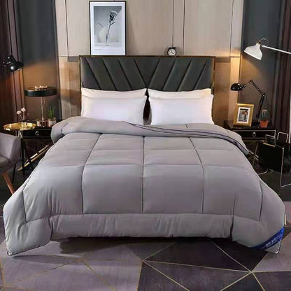 Antibacterial Duvet Insert