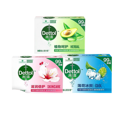 Antibacterial Moisturizing Mint Soap