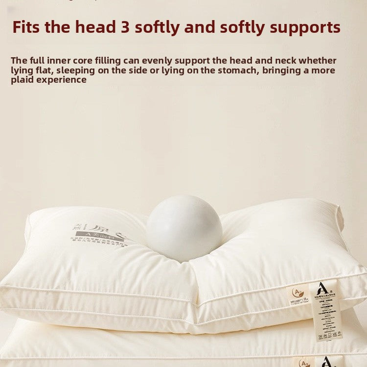 Antibacterial Pillow