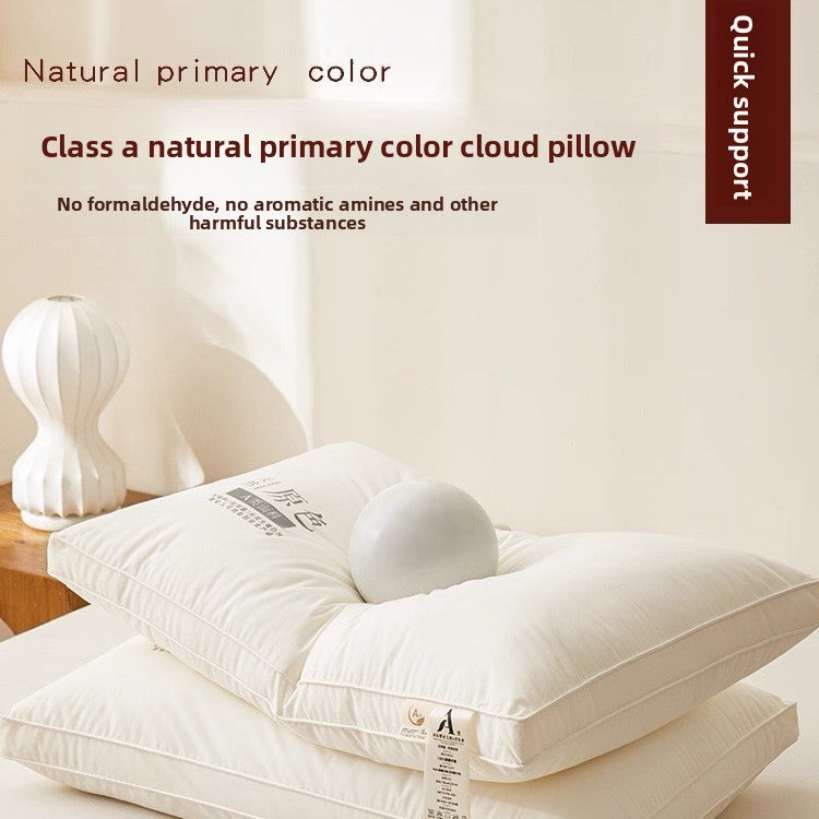 Antibacterial Pillow