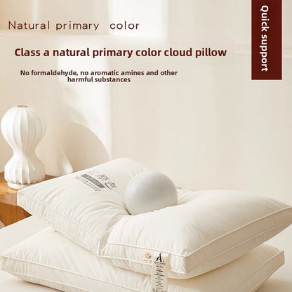 Antibacterial Pillow