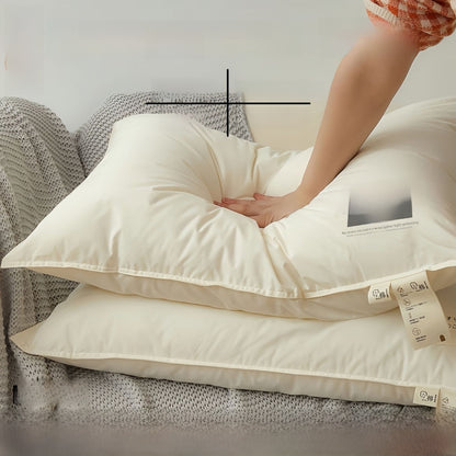 Antibacterial Pillow