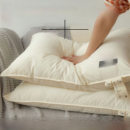 Antibacterial Pillow