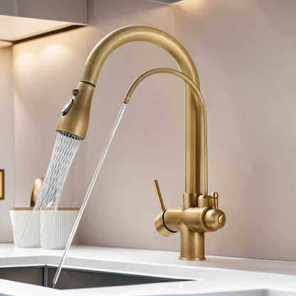Antique Copper Three-in-One Kitchen Faucet