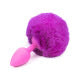 Anus plug