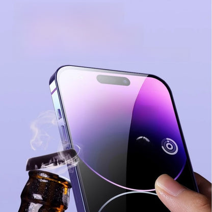 Apple privacy protection film