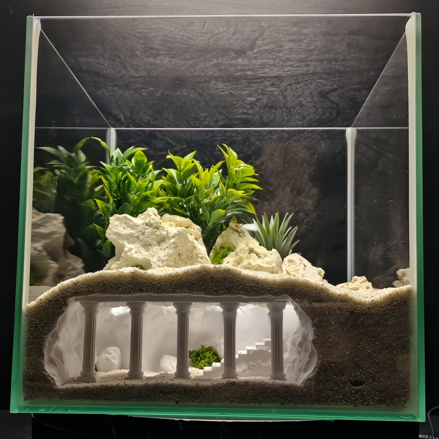 Aquarium Ornament