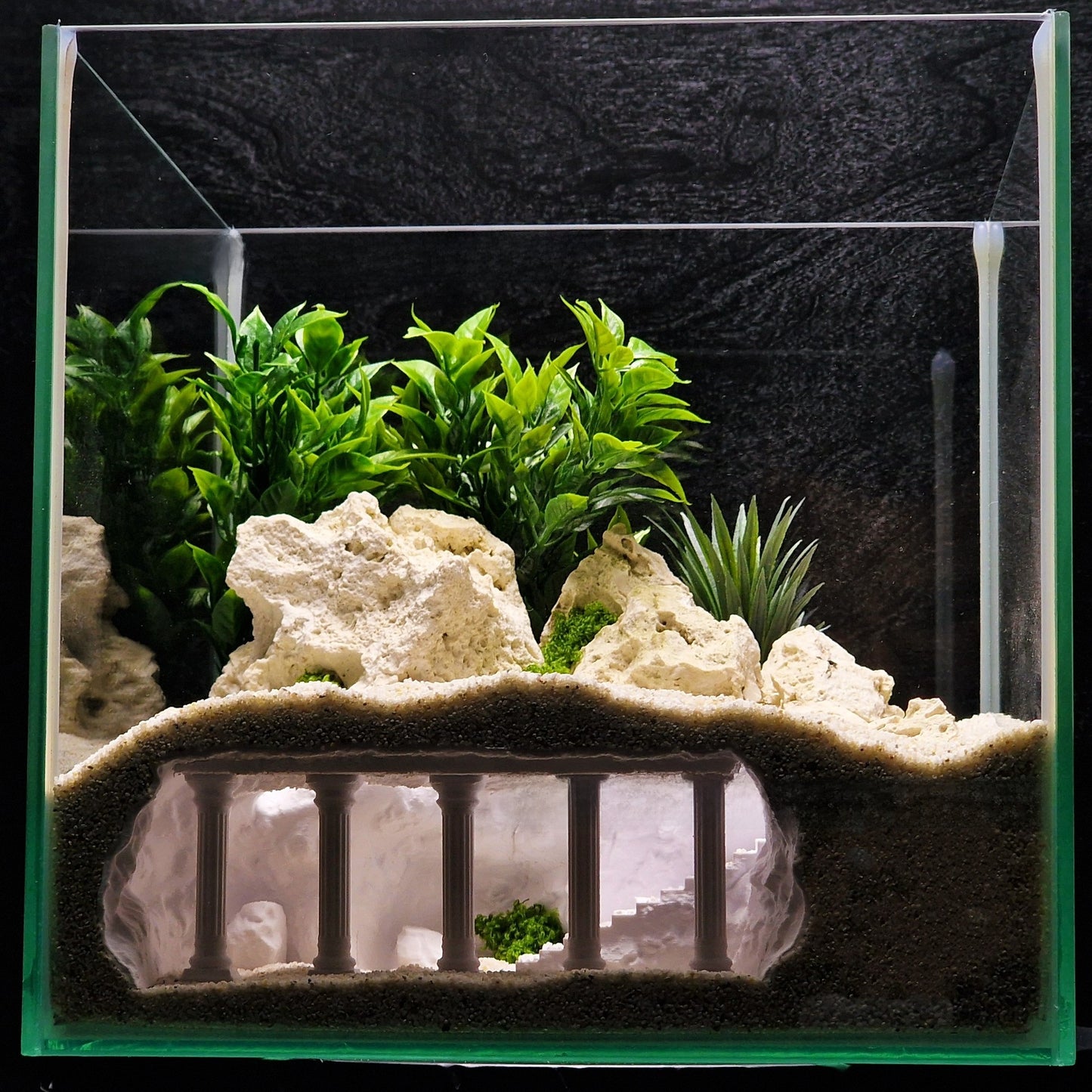 Aquarium Ornament