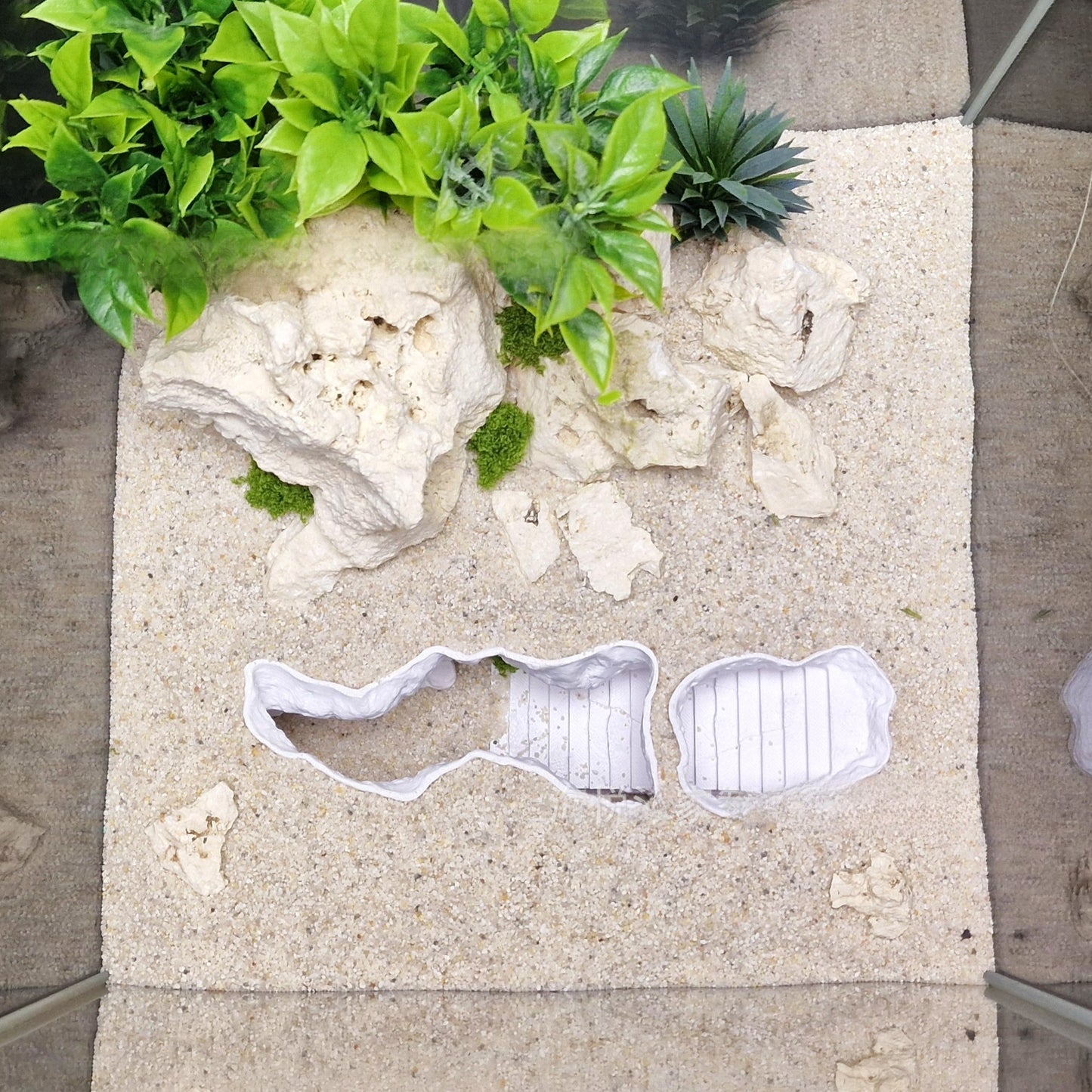 Aquarium Ornament