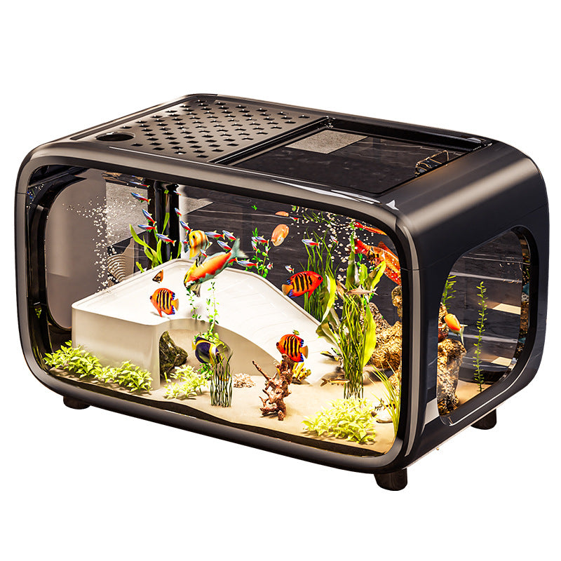 Aquarium Tank