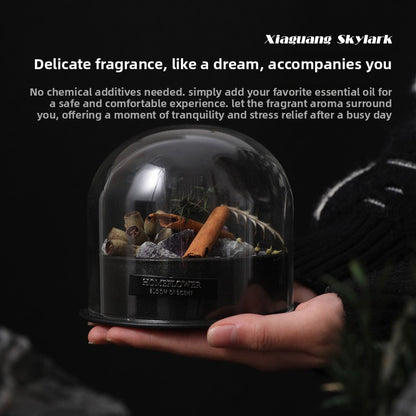 Aromatherapy Diffuser