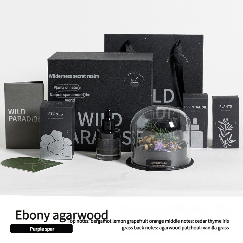 Aromatherapy Diffuser