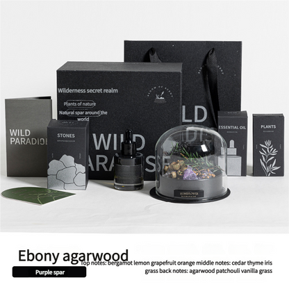 Aromatherapy Diffuser