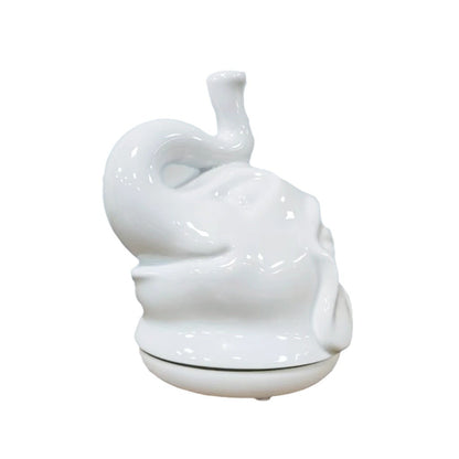 aromatherapy diffuser