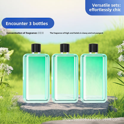 aromatherapy diffuser