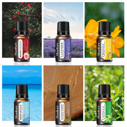 aromatherapy essential oil