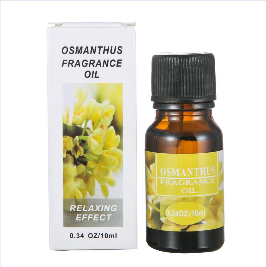 Aromatherapy Essential Oil