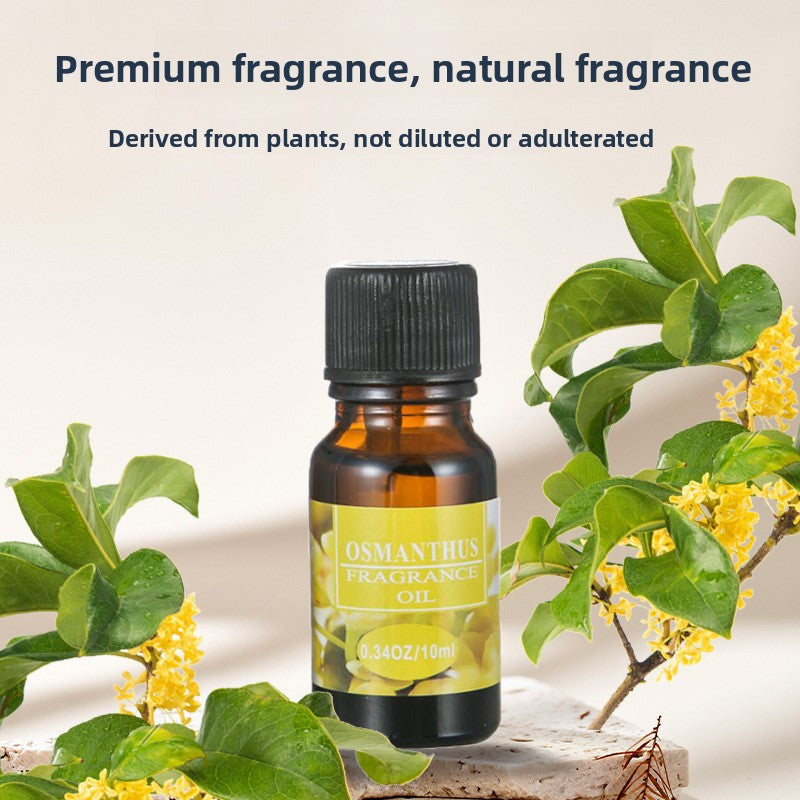 Aromatherapy Essential Oil