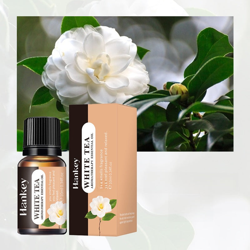 Aromatherapy essential oils leave a lasting fragrance indoors