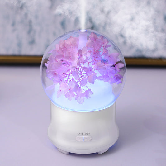 aromatherapy humidifier